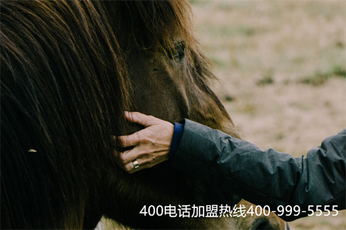 長(zhǎng)春怎么申請(qǐng)400電話（長(zhǎng)春39元代駕電話號(hào)碼）