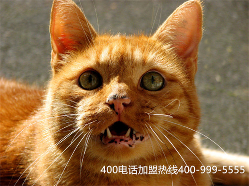 400電話辦理找信通網(wǎng)贏（美團(tuán)24小時投訴電話）